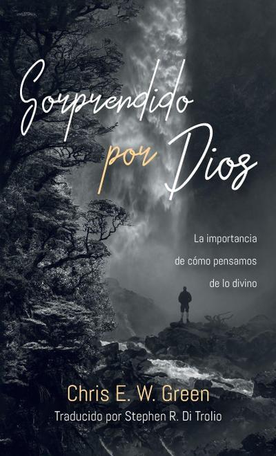Sorprendido por Dios