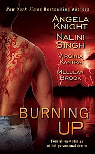 Burning Up