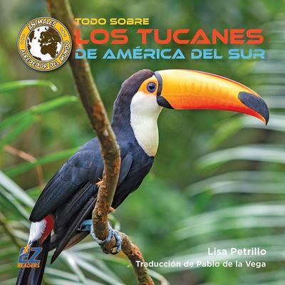 Todo Sobre Los Tucanes de América del Sur