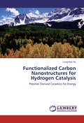 Functionalized Carbon Nanostructures for Hydrogen 
