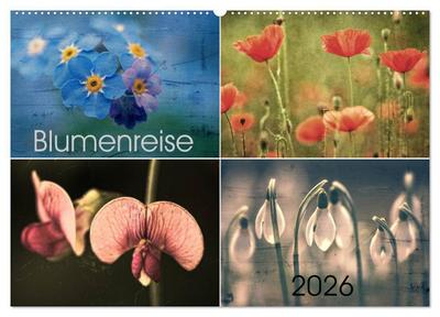 Blumenreise 2026 (Wandkalender 2026 DIN A2 quer), CALVENDO Monatskalender