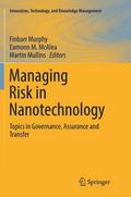 Managing Risk in Nanotechnology