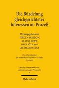 Die Bündelung gleichgerichteter Interessen im Prozeß