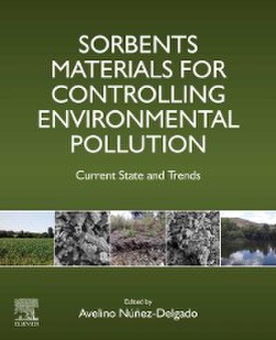 Sorbents Materials for Controlling Environmental Pollution