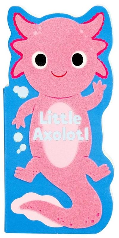 Little Axolotl