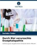 Durch Blei verursachte Enzephalopathie