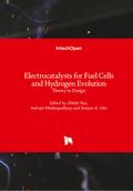 Electrocatalysts for Fuel Cells and Hydrogen Evolution