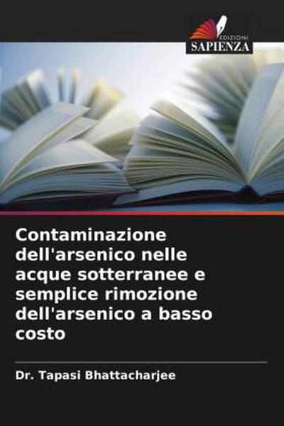 Contaminazione dell’arsenico nelle acque sotterranee e semplice rimozione dell’arsenico a basso costo