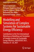 Modelling and Simulation of Complex Systems for Sustainable Energy Efficiency