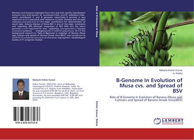 B-Genome In Evolution of Musa cvs. and Spread of BSV