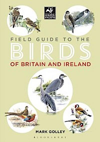 Field Guide to the Birds of Britain and Ireland