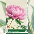 The Peony Chronicles - Reflections: 10 Everyday Short Stories vol. 002 - B1-B2 (+ Audio-CD)