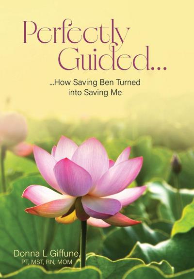 Perfectly Guided...
