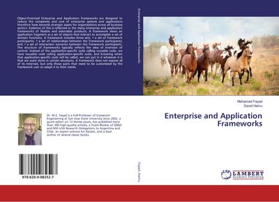 Enterprise and Application Frameworks
