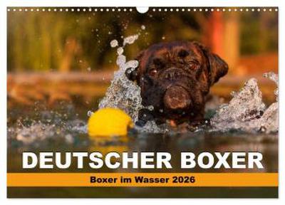 Deutscher Boxer - Boxer im Wasser 2026 (Wandkalender 2026 DIN A3 quer), CALVENDO Monatskalender