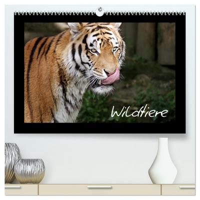 Wildtiere (hochwertiger Premium Wandkalender 2025 DIN A2 quer), Kunstdruck in Hochglanz