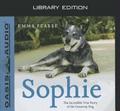 Sophie (Library Edition): The Incredible True Story of the Castaway Dog