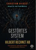 Gestörtes System – Hilbert rechnet ab