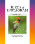 Birds of Instagram