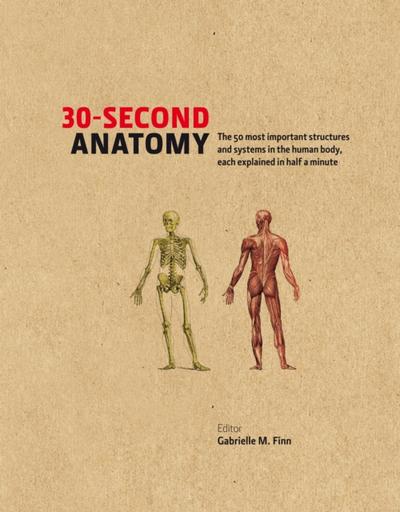 30-Second Anatomy