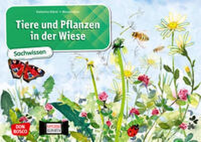 Tiere und Pflanzen in der Wiese