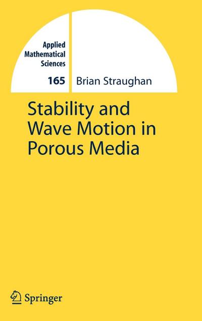 Stability and Wave Motion in Porous Media