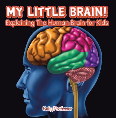 My Little Brain! - Explaining The Human Brain for Kids