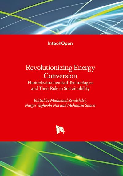 Revolutionizing Energy Conversion - Photoelectrochemical Technologies and Their Role in Sustainability