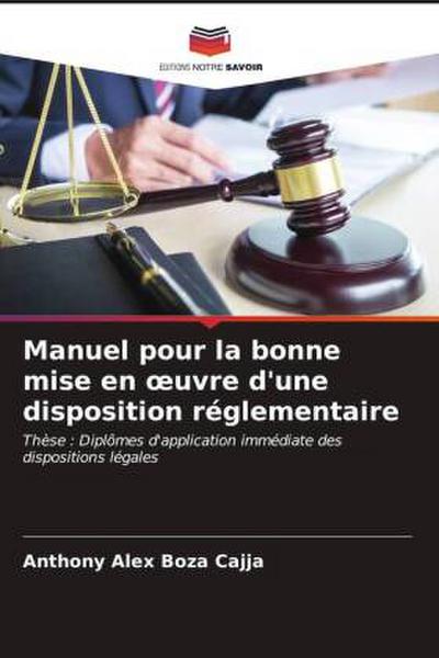 Manuel pour la bonne mise en ¿uvre d’une disposition réglementaire