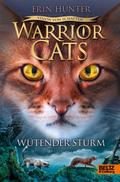 Warrior Cats - Wütender Sturm