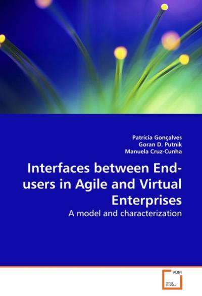 Interfaces between End-users in Agile and Virtual Enterprises