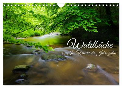 Waldbäche - Im Wandel der Jahreszeiten (Wandkalender 2026 DIN A4 quer), CALVENDO Monatskalender