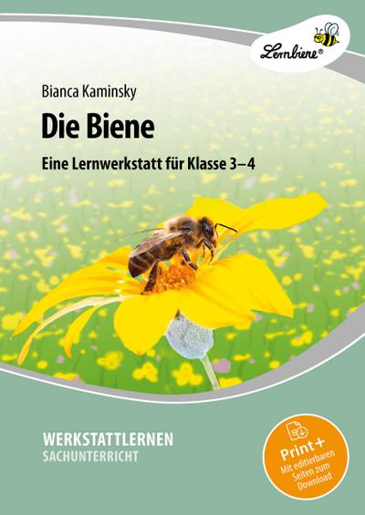 Die Biene. Grundschule, Sachunterricht, Klasse 3-4