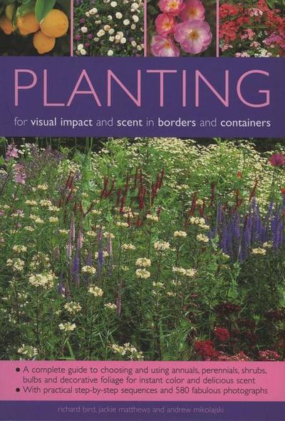 Planting for Visual Impact and Scent in Borders and Containe