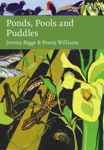 PONDS POOLS & PUDDLES_NN LI HB