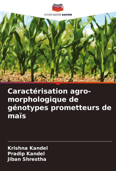 Caractérisation agro-morphologique de génotypes prometteurs de maïs