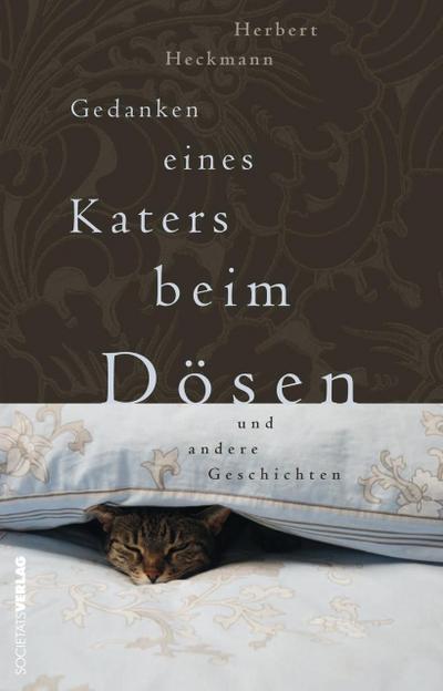 Gedanken eines Katers beim Dösen