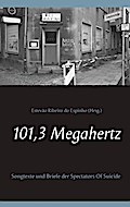 101,3 Megahertz