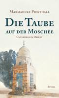 Die Taube auf der Moschee
