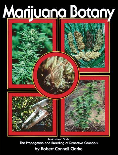 Marijuana Botany