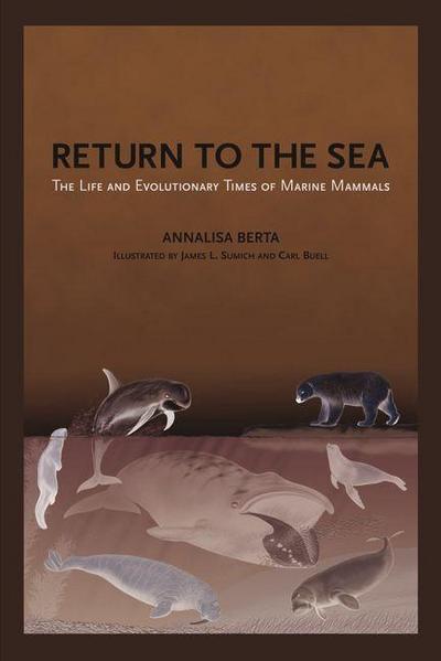 Return to the Sea