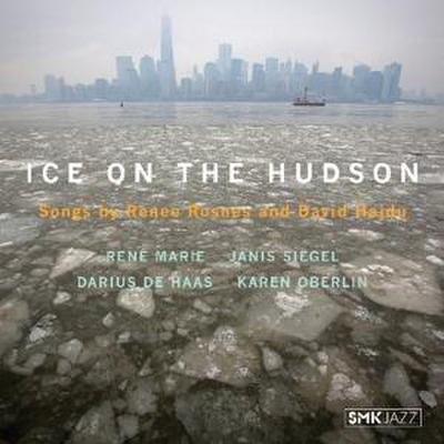 Ice On The Hudson