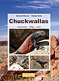 Chuckwallas