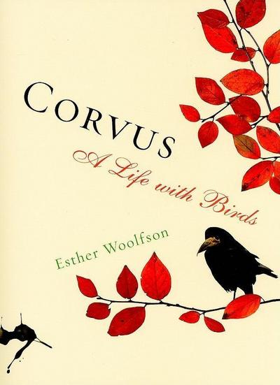 Corvus
