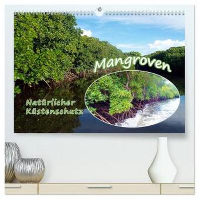 Mangroven - Natürlicher Küstenschutz (hochwertiger Premium Wandkalender 2026 DIN A2 quer), Kunstdruck in Hochglanz