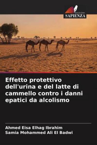 Effetto protettivo dell’urina e del latte di cammello contro i danni epatici da alcolismo