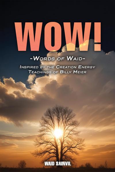 WOW: Words Of Waid