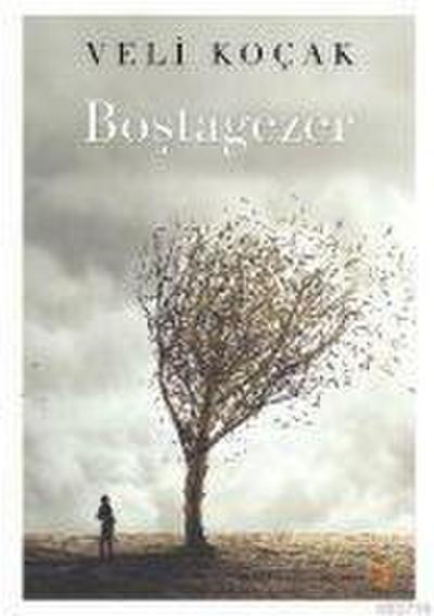 Bostagezer
