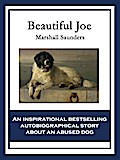 Beautiful Joe