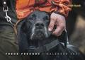 Wild und Hund Edition: Treue Freunde Kalender 2027